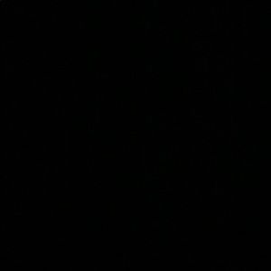 Meet your Posher, Roberto